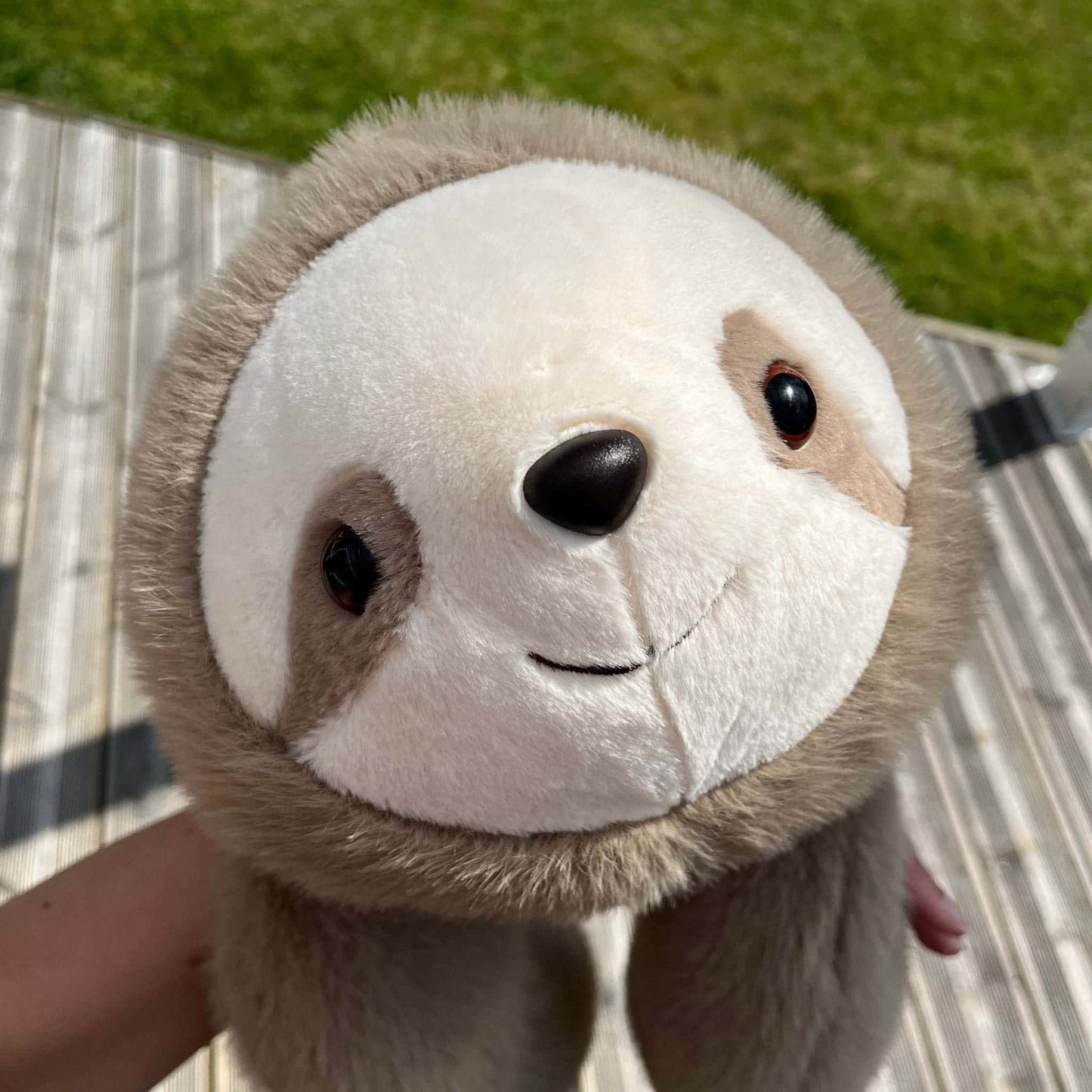 Sunnie el sloth | Edición limitada premium