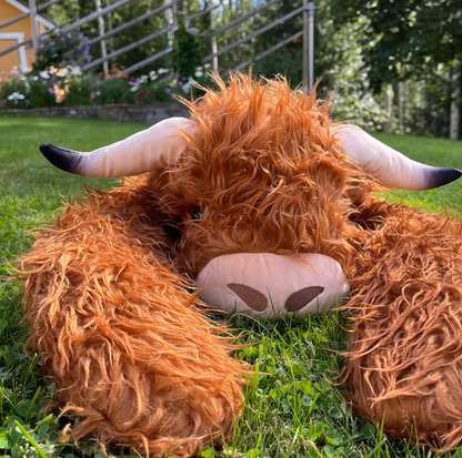 Haille el highland | Edición limitada premium