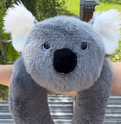 Koko el koala | Edición limitada premium