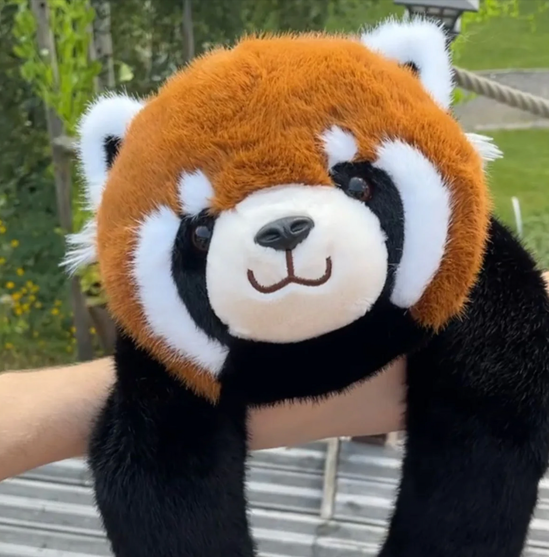 Remie el panda rojo | Edición limitada premium