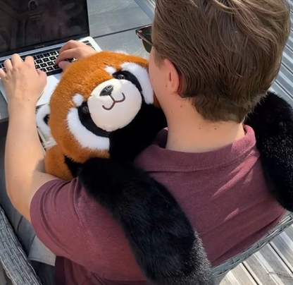 Remie el panda rojo | Edición limitada premium